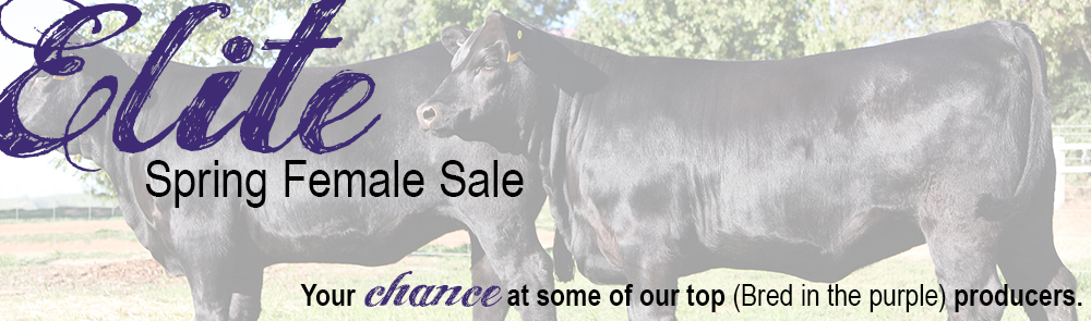 Female Sale Info
